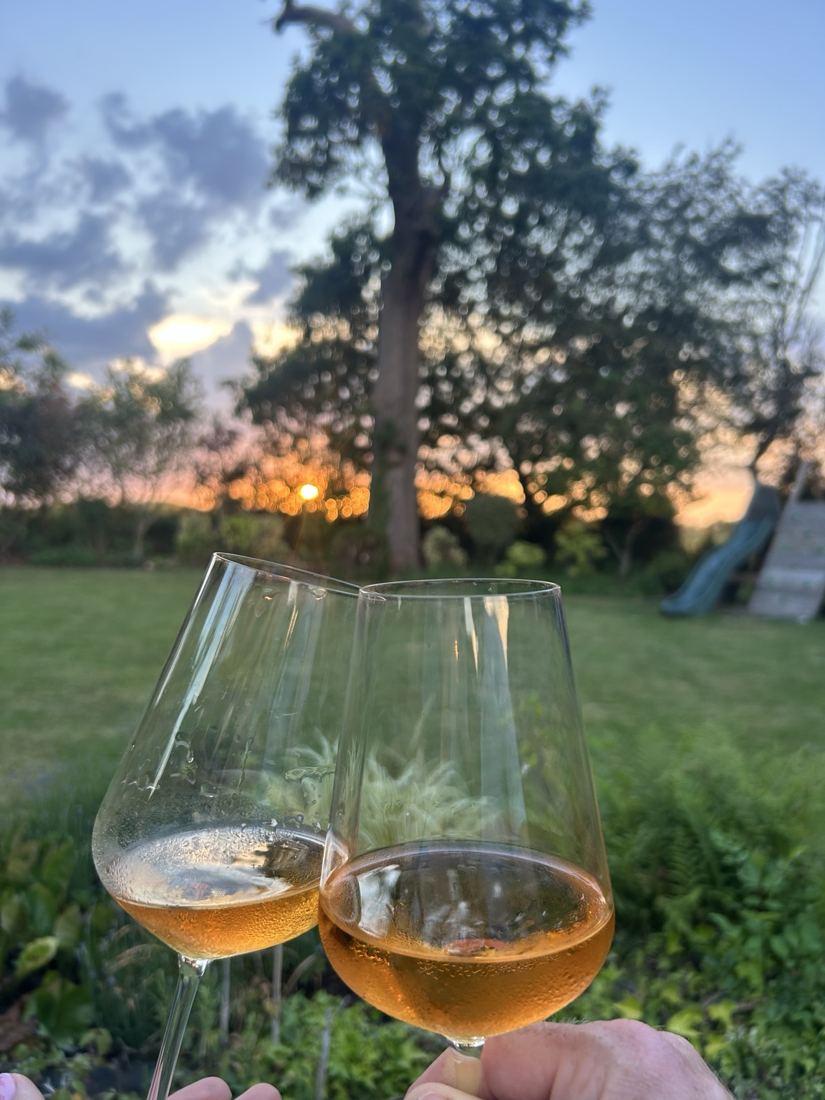 Two glasses of rosé in the garden at sunset